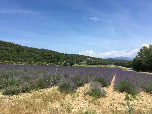 Bed & Breakfast Ferme Les Escuyers