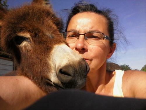 Bed & Breakfast Ferme Les Escuyers