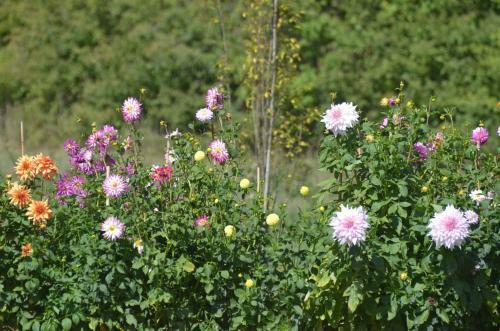 Bed & Breakfast Le Clos Du Murier
