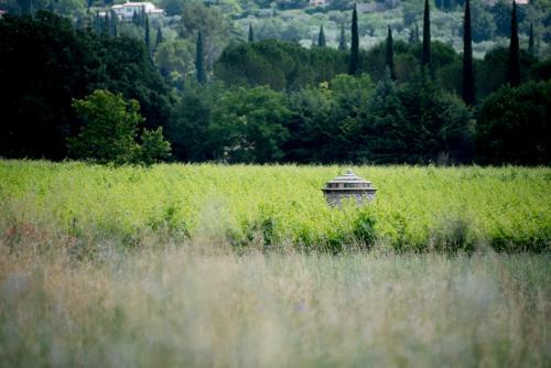 Bed & Breakfast Le Mas Des Romarins