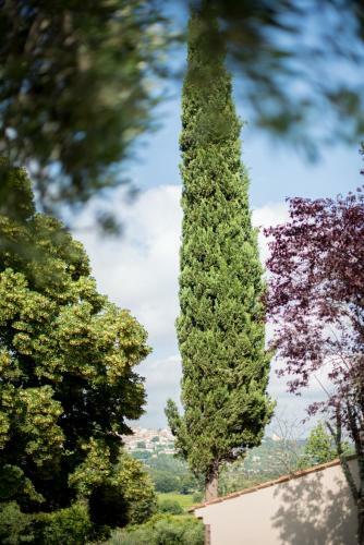 Bed & Breakfast Le Mas Des Romarins