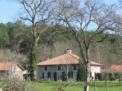 House Papire - Fraicheur