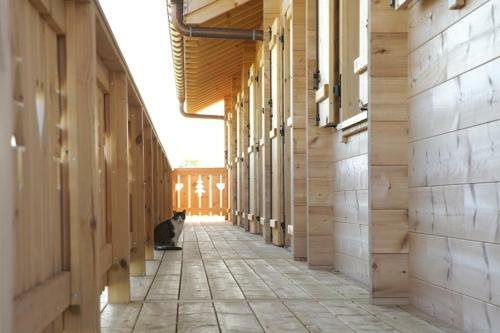 Bed & Breakfast Chambres D'h�tes - Les Dolines