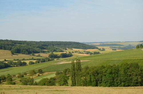Bed & Breakfast Chambres D'hotes & Champagne Douard