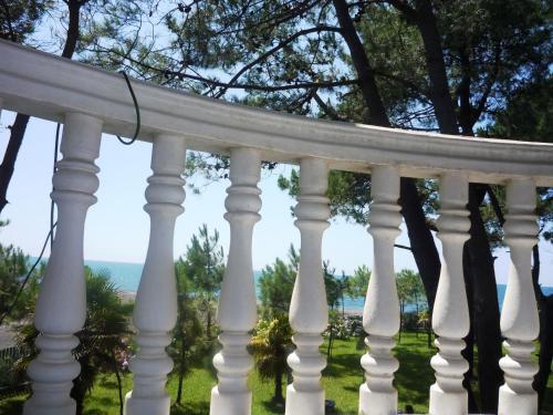 Villa Shekvetili