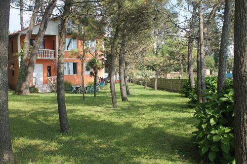 Villa Shekvetili