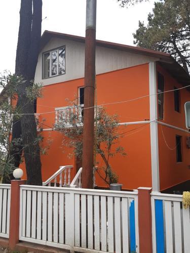 Villa Shekvetili