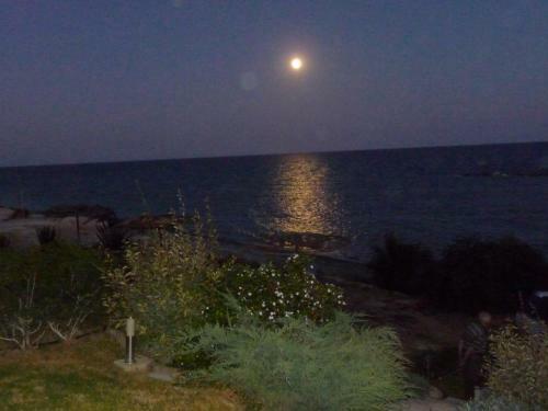 Zygi Beachfront Villa