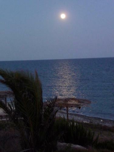 Zygi Beachfront Villa