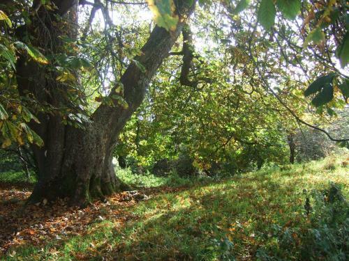 James Tymon Self-catering Cottage