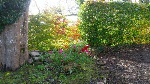 James Tymon Self-catering Cottage