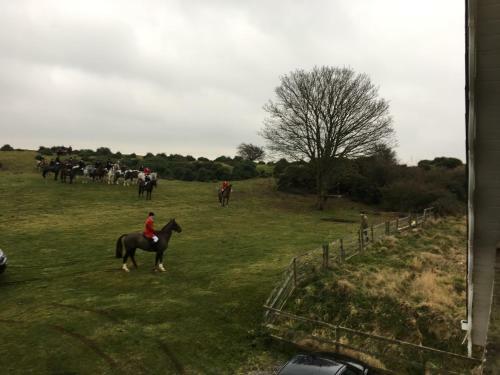 Bed & Breakfast The Curragh Country House Accommodation
