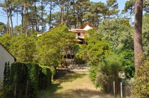 Villa Jum�e Au Calme Sur Un Terrain Arbor� - 1964