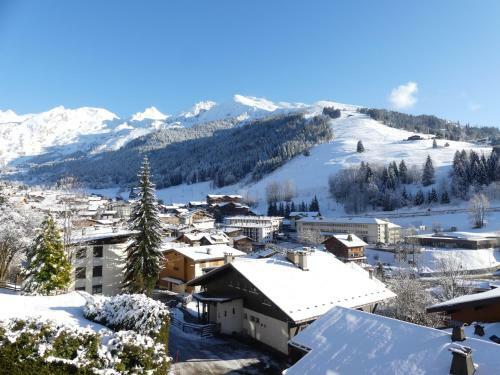 Apartamentos R�sidence 2-235 - Proche Centre Village