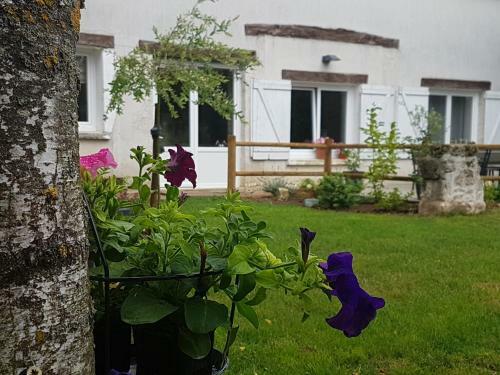 Bed & Breakfast L'etoile Du Berger
