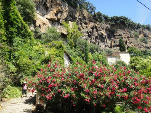 Luxurious Holiday Home In Le Val With Private Pool