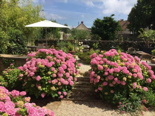 Bed & Breakfast Le Vivier
