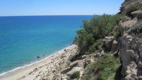 Ch�teau De La Motte