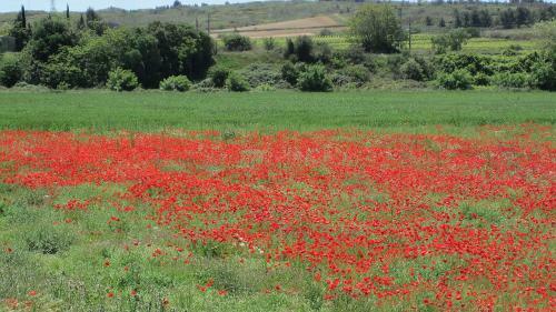 Ch�teau De La Motte