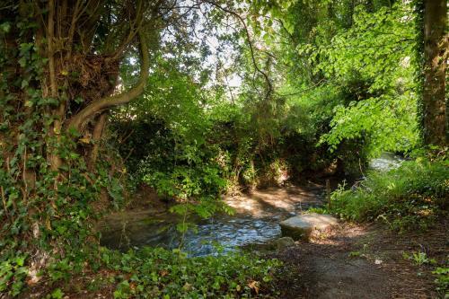 Bed & Breakfast La Pomme P�tillante