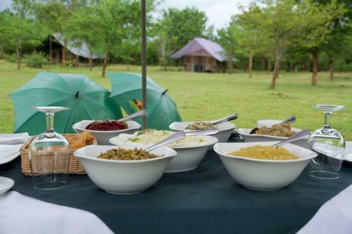 Big Game Camp Udawalawe