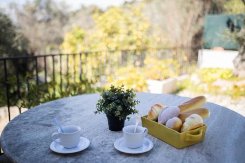 Villa Vianigrier Hills