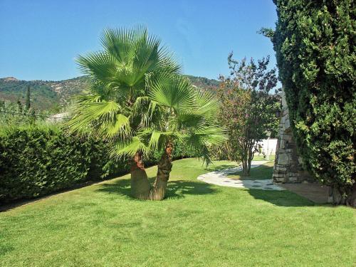 Luxurious Villa At Le Plan-de-la-tour With Swimming Pool