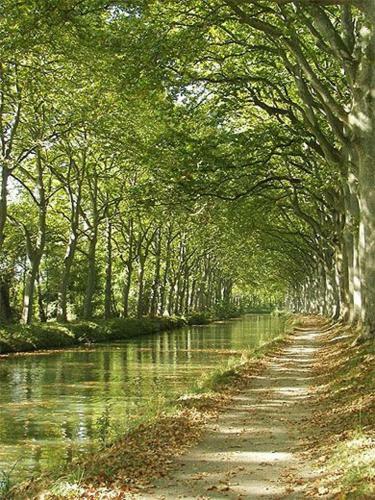 Bed & Breakfast La Maison Blanche Chambres D?h�tes - B & B Quillan