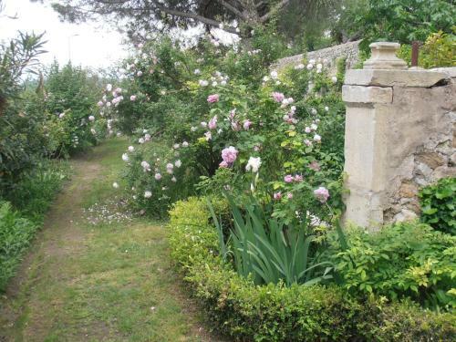Bed & Breakfast Le S�minaire