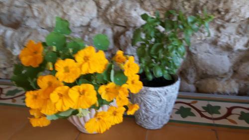 Bed & Breakfast Le S�minaire
