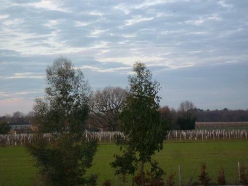 Bed & Breakfast La Serpauderie