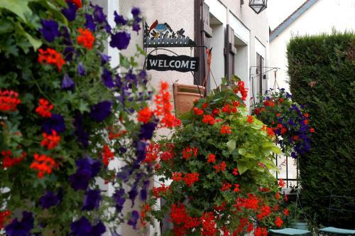 Hotel H�tel Restaurant Les Tilleuls