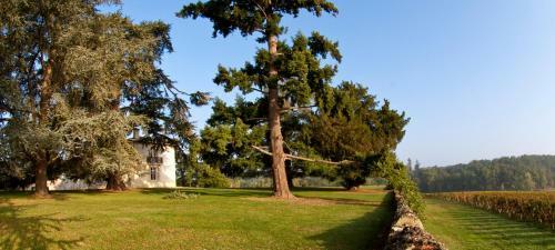 Hotel Les Secrets Ch�teau Pey La Tour