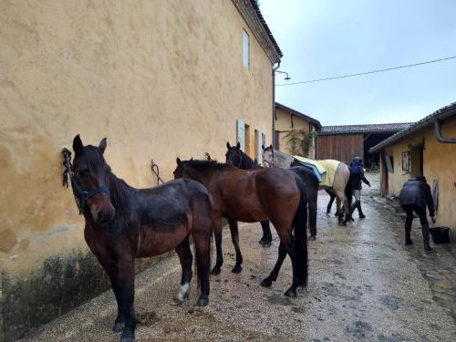 Earl Domaine Du Plec