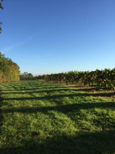Bed & Breakfast La Girarde