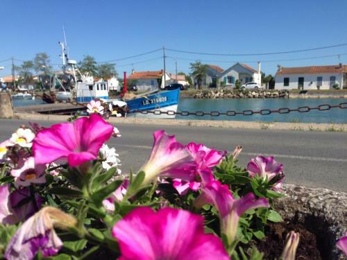 Hotel Les Bains Boyardville - H�tel Et Restaurant