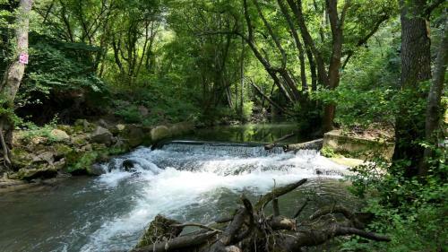 Bed & Breakfast La Belhomi�re