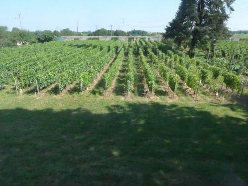 Bed & Breakfast Au Clos de L'epinay