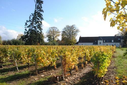 Bed & Breakfast Au Clos de L'epinay