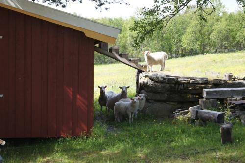 Hostal Bustad Hyttetun