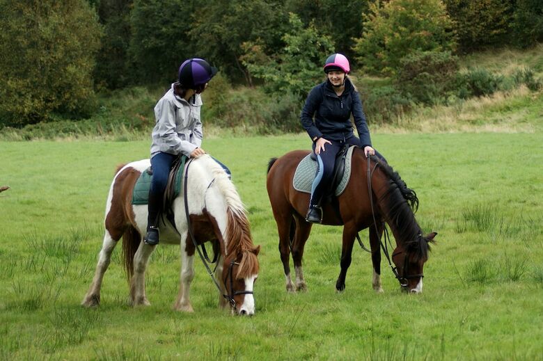 Albergue Dare Valley Country Park Accommodation