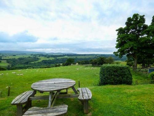 Hadrian's View