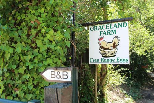 Graceland Farm B&B