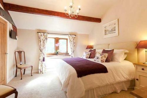 Bed & Breakfast Throstle Nest Farm