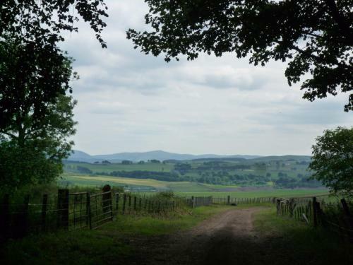 Weston Farm Dunsyre
