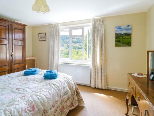 Swn Y Coed, Corwen