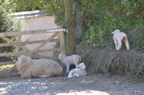 Agroturismo The Linhay