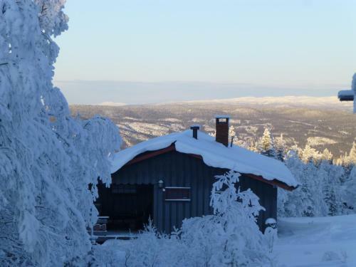 Lodge Nyst�len Hyttegrend