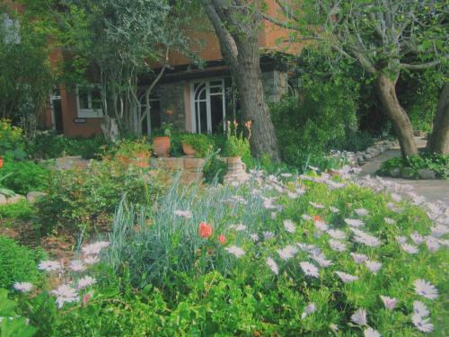 Hotel H�tel Des Cascades Ecolodge