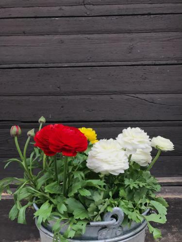 Hostal Visings� Pensionat